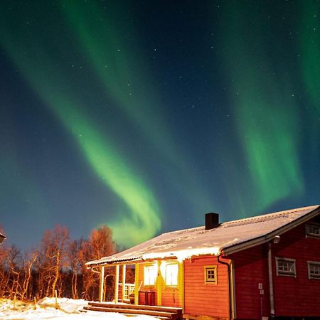 Trivelig Hytte I Senja. Luaran gambar