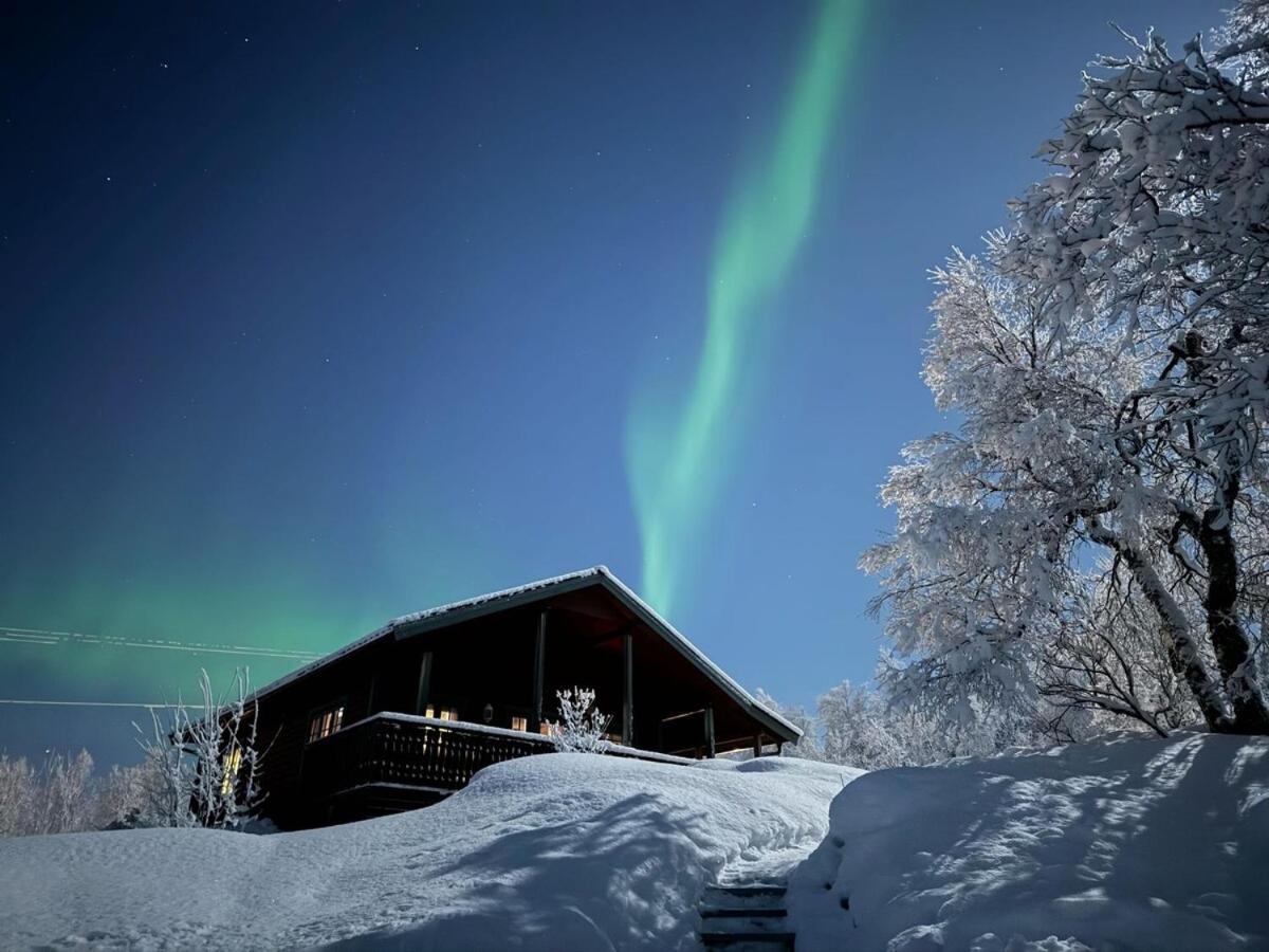 Trivelig Hytte I Senja. Luaran gambar