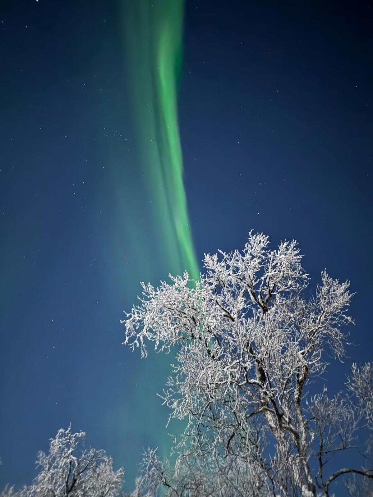 Trivelig Hytte I Senja. Luaran gambar