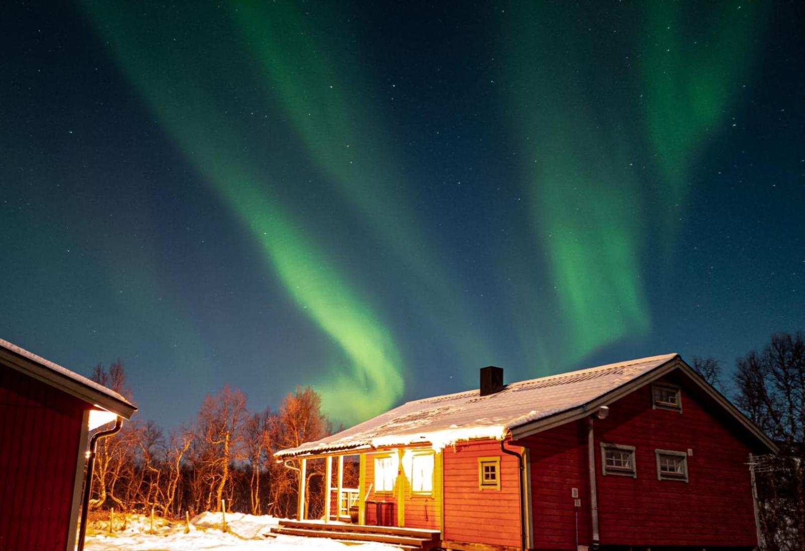 Trivelig Hytte I Senja. Luaran gambar