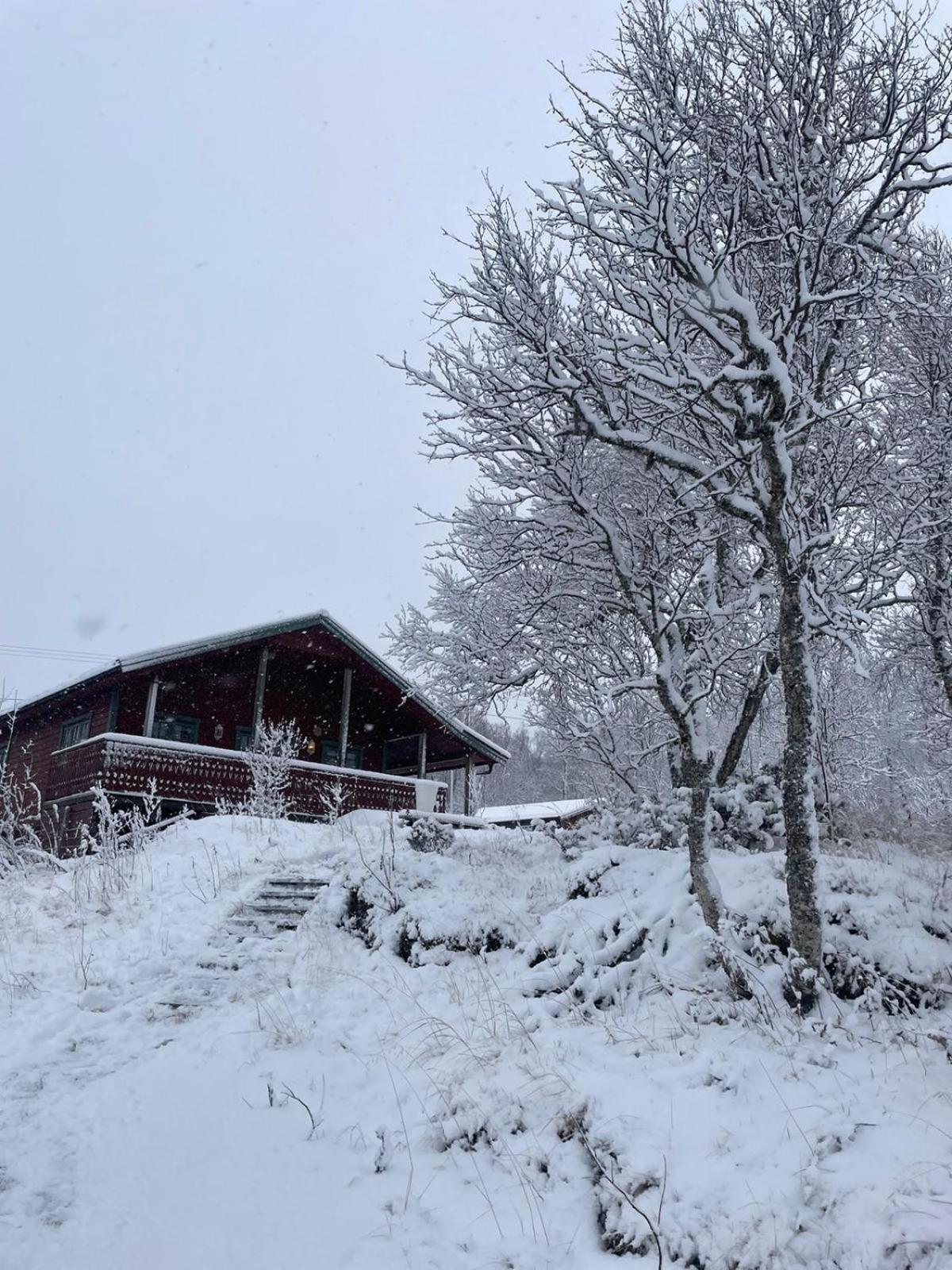 Trivelig Hytte I Senja. Luaran gambar